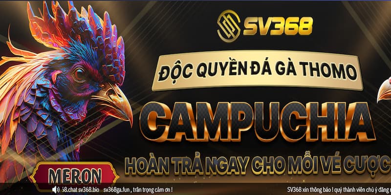 Vài nét về sân chơi SV368