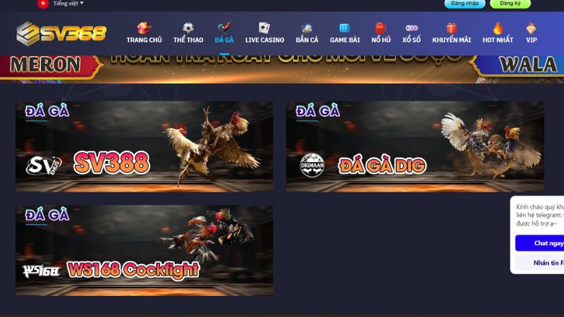 Đá gà cựa sắt