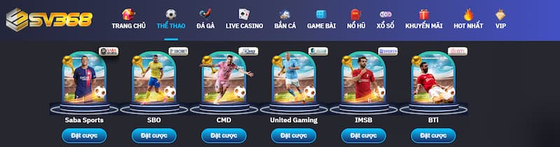 Điều khoản cá cược mà người chơi cần nắm rõ 